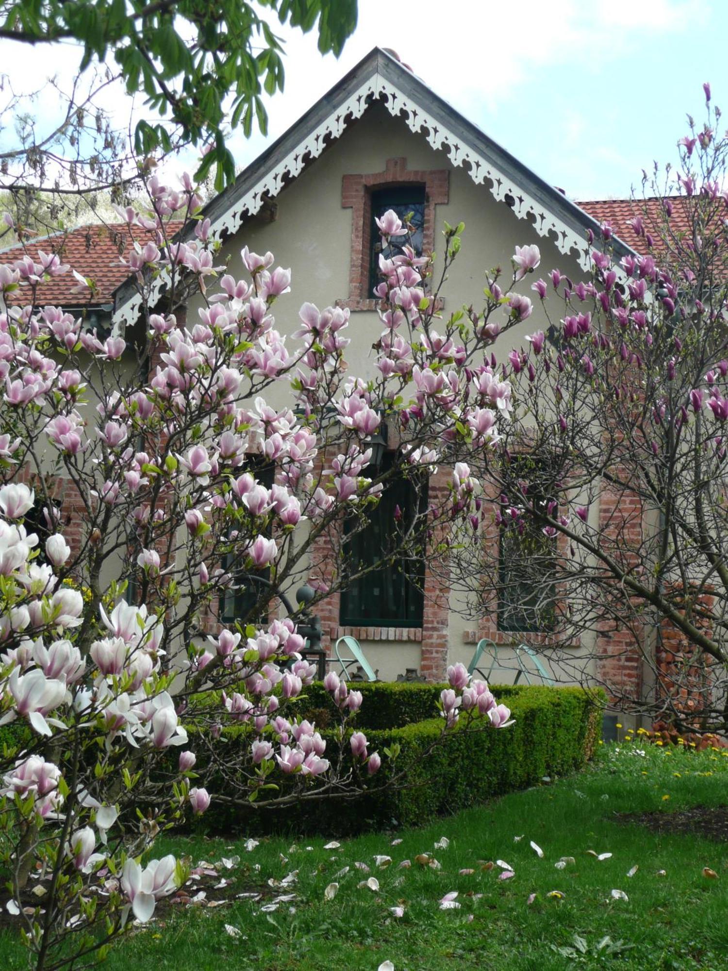 Au Fond De La Cour Bed and Breakfast Veyre-Monton Exteriör bild